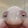 Jery Jone's profile picture