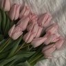 Renad Al-Qahtani's profile picture