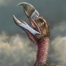 Hatchet Bird profil fotoğrafı