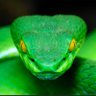 Фото профиля Mick Wolf