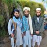 sayed najiullah noosrat's profile picture