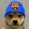 dogofut's profile picture