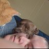 Chelsea Novak (INACTIVE) | SPNMINN 25's profile picture
