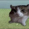 Nico profil fotoğrafı