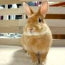 うーたん profil fotoğrafı
