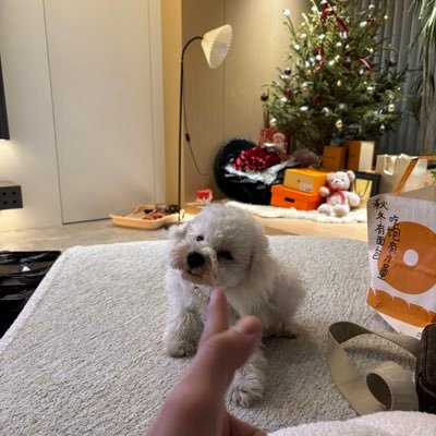 Mika's profile picture