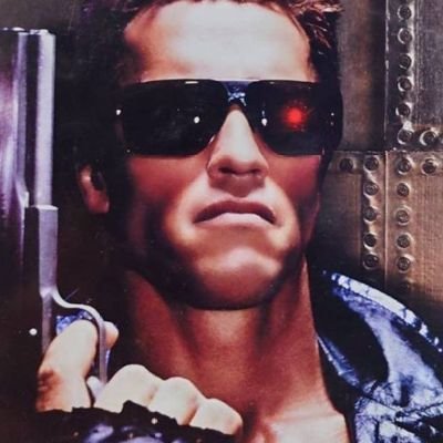 The Terminator's profile picture