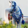المهرة 的头像