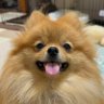 じゃすみん profil fotoğrafı