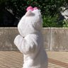mayrice profil fotoğrafı