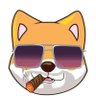 Profilbild von Mayita Like $SOL