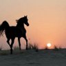 Фото профиля سامي الوريكي