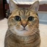 みにら日記-MiniraDiary-'s profile picture