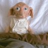 whale store-elf(dobby) 🐳🦭's profile picture