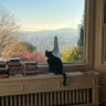 Фото профиля Sunday Ray Riley