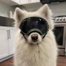 Jay David's profile picture