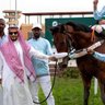Фото профиля ايمن الراجحي
