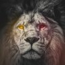 Gala Ruhu's profile picture