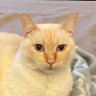 The Anti-Groomer's profile picture