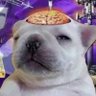 Profilbild von Zach_McCool $XD $MCDC $gmail $mid