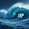 Xrp 的头像