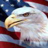 The American Patriots Pulse profil fotoğrafı