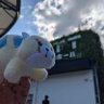草餅は野菜です's profile picture