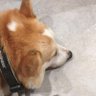 菜鸟驿站取如件 的头像