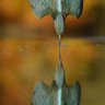 Фото профиля Apollo Arunga