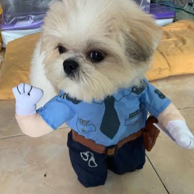 จิ's profile picture