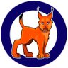 Lynx Craft's profile picture