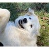 V N's profile picture