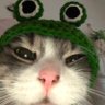 sinirlibirkedo profil fotoğrafı