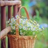 Profilbild von مېروېس اشناه اشناه مېروېس