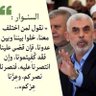 ALLA BENAOUALI's profile picture
