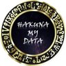 Profilbild von HakunaMyData