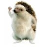 $SHRUB | Elon Hedgehog's profile picture