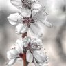 Фото профиля aniña