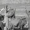 Profilbild von ناس تموت دون المبادىء والقيم وناس مستعدة تعيش تحت