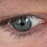 Profilbild von Trenton Simshauser