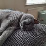 Louise's profile picture