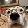 BOXERMATION! 的头像