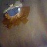 John Cornwall's profile picture
