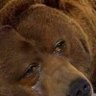 Look at my AVI's profile picture