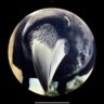 Фото профиля Dorice 🐦‍⬛🎵
