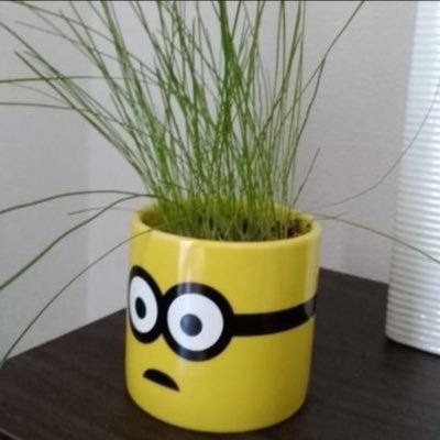 MOTUOH's profile picture