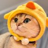🎀 profil fotoğrafı