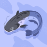Sakabann's profile picture