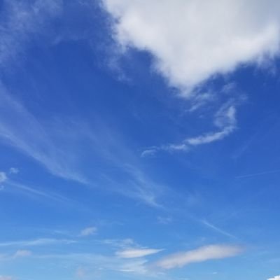 鷹's profile picture