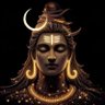 Profilbild von *Sanjeev*